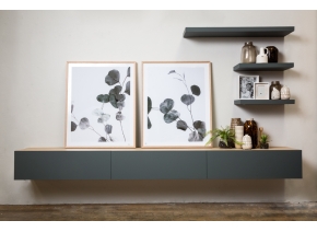 Harborne Living Wall Harborne Living Wall